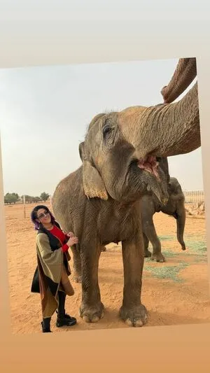 Bayley OnlyFans Leaked Free Thumbnail Picture - #UlTD7SLs9U