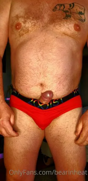 Bearinheat OnlyFans Leaked Free Thumbnail Picture - #B6h9QaRs0a