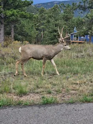 Bee88i OnlyFans Leaked Free Thumbnail Picture - #hlAXeQhd4Q