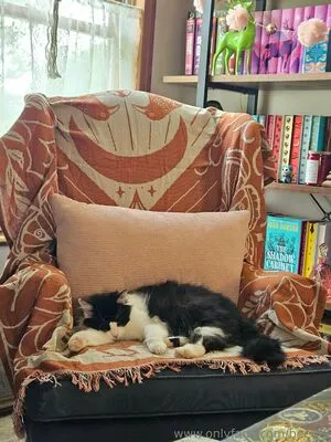 Bee88i OnlyFans Leaked Free Thumbnail Picture - #uNgGVdFqxT