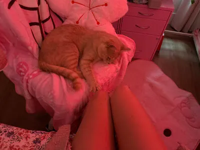 Beebee Asmr OnlyFans Leaked Free Thumbnail Picture - #5arvsql2JC