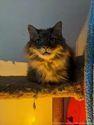 Beebonesbaby OnlyFans Leaked Free Thumbnail Picture - #6WwEP5SIMa