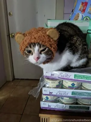 Beebonesbaby OnlyFans Leaked Free Thumbnail Picture - #CttnurCMz5