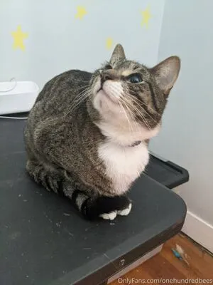 Beebonesbaby OnlyFans Leaked Free Thumbnail Picture - #GuDKsXH7Vh