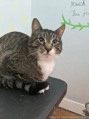 Beebonesbaby OnlyFans Leaked Free Thumbnail Picture - #M17ngEfQXn