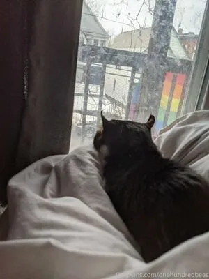 Beebonesbaby OnlyFans Leaked Free Thumbnail Picture - #MlhGu13Ov7