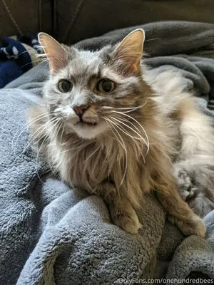 Beebonesbaby OnlyFans Leaked Free Thumbnail Picture - #dYq5VIqV2T