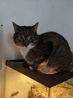 Beebonesbaby OnlyFans Leaked Free Thumbnail Picture - #oCGoa3ccY0