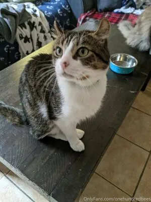 Beebonesbaby OnlyFans Leaked Free Thumbnail Picture - #qNCTeza6rI