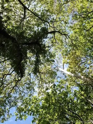 Beeboo Girl OnlyFans Leaked Free Thumbnail Picture - #BLBpaQRV7P