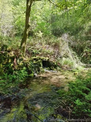 Beeboo Girl OnlyFans Leaked Free Thumbnail Picture - #hcViM4vamc