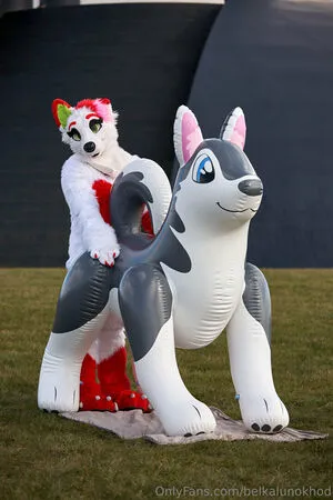 Belkalunokhod OnlyFans Leaked Free Thumbnail Picture - #ftxIXL2mx8