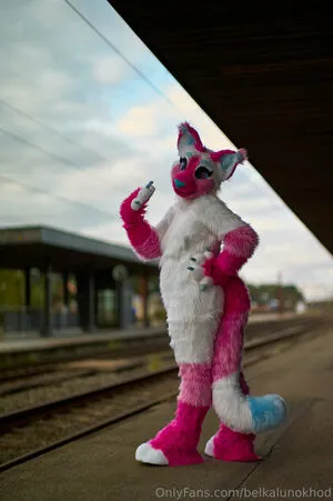 Belkalunokhod OnlyFans Leaked Free Thumbnail Picture - #lJ8e0u31G6