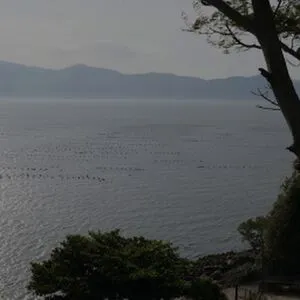 Bella Da Semana OnlyFans Leaked Free Thumbnail Picture - #1EGwLIoHWU