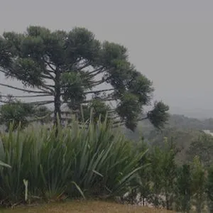 Bella Da Semana OnlyFans Leaked Free Thumbnail Picture - #8eYIZqElFt