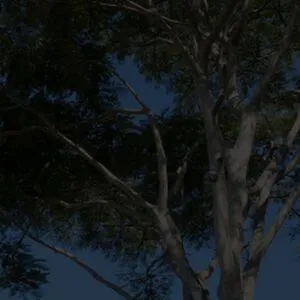 Bella Da Semana OnlyFans Leaked Free Thumbnail Picture - #GP4wSz9pSC