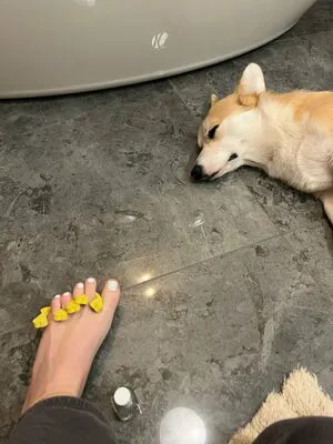 Bellas Paws OnlyFans Leaked Free Thumbnail Picture - #dD3v0ehSTC