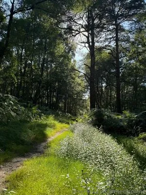 Belle Delphine OnlyFans Leaked Free Thumbnail Picture - #0qfIUzRCDz