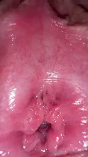 Belllexox OnlyFans Leaked Free Thumbnail Picture - #gkeTpM8Ak8