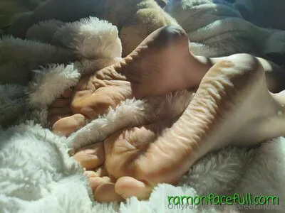Bellsfeetandass OnlyFans Leaked Free Thumbnail Picture - #U8RS14Ymiq