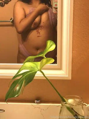 Benadryldreams OnlyFans Leaked Free Thumbnail Picture - #gTMJJrPIBN