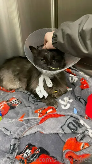 Beth Stone OnlyFans Leaked Free Thumbnail Picture - #VxM054IO8C