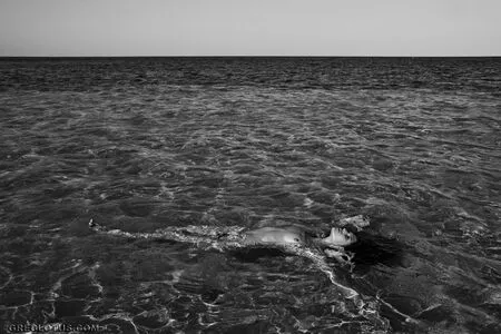 Bianca Balti OnlyFans Leaked Free Thumbnail Picture - #LRxHjxs74o