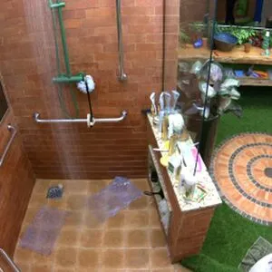 Big Brother Brasil OnlyFans Leaked Free Thumbnail Picture - #TW5NEsxG1j