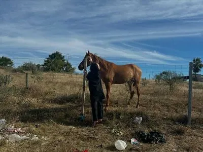 Billie Eilish OnlyFans Leaked Free Thumbnail Picture - #ggxCxHkUYQ