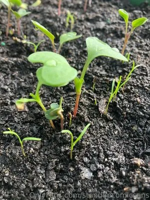 Billiebubbles OnlyFans Leaked Free Thumbnail Picture - #htyMWqk96o