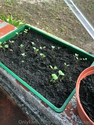 Billiebubbles OnlyFans Leaked Free Thumbnail Picture - #jRNO1kfxZq