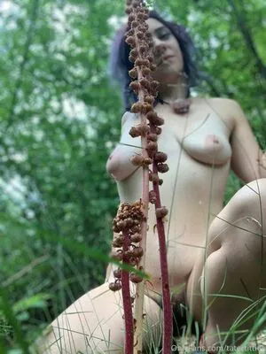 Birdie Beloved OnlyFans Leaked Free Thumbnail Picture - #R4E5qNasdo