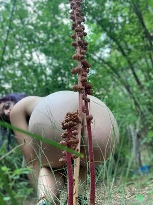 Birdie Beloved OnlyFans Leaked Free Thumbnail Picture - #au64RYIRxd