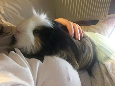 Blackgabbydoll OnlyFans Leaked Free Thumbnail Picture - #nEY2ip6Iuo