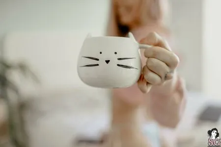 Blizzard OnlyFans Leaked Free Thumbnail Picture - #IXPDkXJsf4