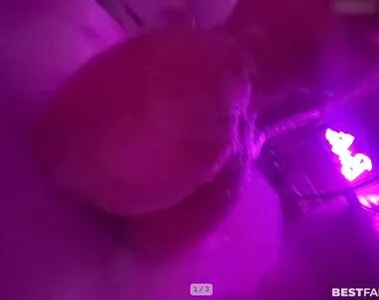 Blondebarbiebitch OnlyFans Leaked Free Thumbnail Picture - #FKK04opxTS