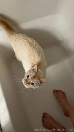 Blondie Smurf OnlyFans Leaked Free Thumbnail Picture - #W1gdQL2UUZ