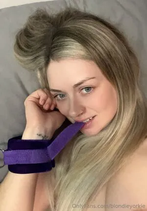 Blondie Yorkie OnlyFans Leaked Free Thumbnail Picture - #0TynNtjjYP