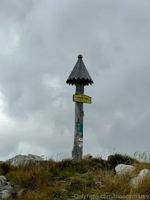 Bloodymaryy OnlyFans Leaked Free Thumbnail Picture - #P4LsKapL6D