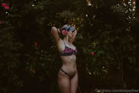 Bluejayfree OnlyFans Leaked Free Thumbnail Picture - #CVBeqSFGr9