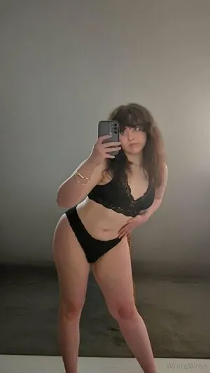 Bluewren99 OnlyFans Leaked Free Thumbnail Picture - #Bh37nREEw2