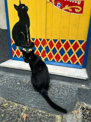 Blushbb OnlyFans Leaked Free Thumbnail Picture - #QPHgPp99JR