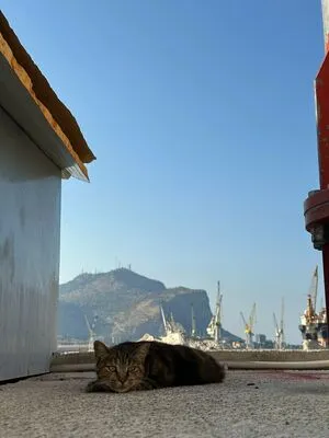 Blushbb OnlyFans Leaked Free Thumbnail Picture - #We6lwNul4W