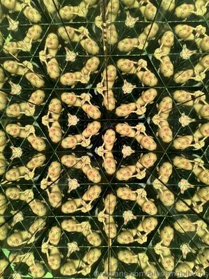 Blushingblooms OnlyFans Leaked Free Thumbnail Picture - #udlAwFavTd