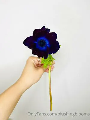 Blushingblooms OnlyFans Leaked Free Thumbnail Picture - #00vaowYJ7k
