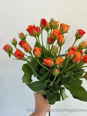 Blushingblooms OnlyFans Leaked Free Thumbnail Picture - #MGMaol7HSj