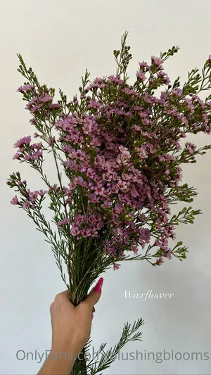 Blushingblooms OnlyFans Leaked Free Thumbnail Picture - #UhxCqfOWRo