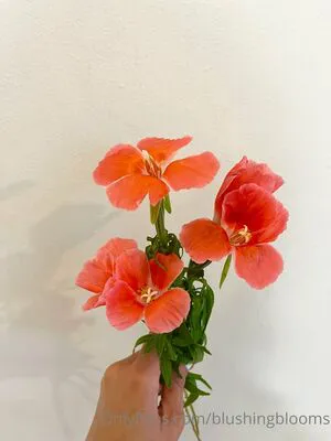 Blushingblooms OnlyFans Leaked Free Thumbnail Picture - #WLQ9X8p744