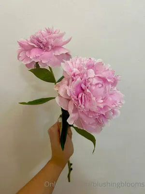 Blushingblooms OnlyFans Leaked Free Thumbnail Picture - #Yf4WtwjUFc