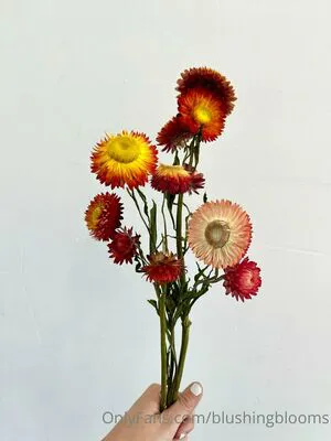 Blushingblooms OnlyFans Leaked Free Thumbnail Picture - #mZM9oUiKvs